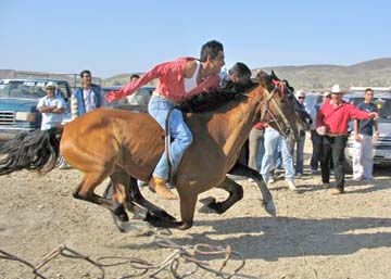 Horse race at Bahia Asuncion, Mexico.
