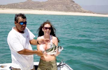 Roosterfish fishing at East Cape, Mexico.