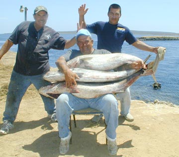 San Quintin, Mexico fishing photo 1.