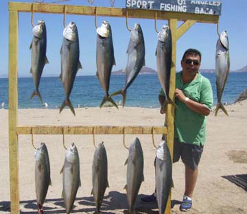Bahia de los Angeles, Mexico fishing photo 2