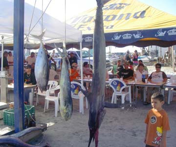 La Bocana, Mexico fishing photo 1