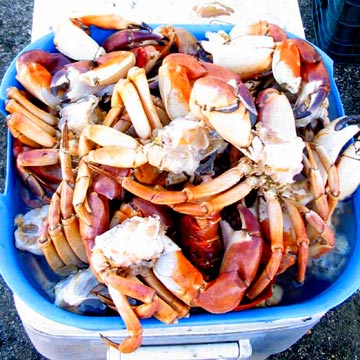 Bahia Asuncion, Mexico crab dinner photo 1