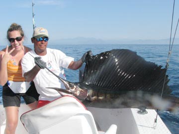Ixtapa sailfish