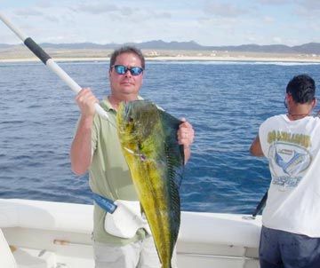 Cabo San Lucas dorado fishing