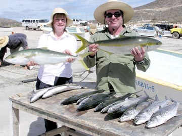 La Paz fishing for yellowtail and sierra