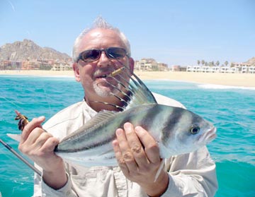 Roosterfish caught at Cabo San Lucas.
