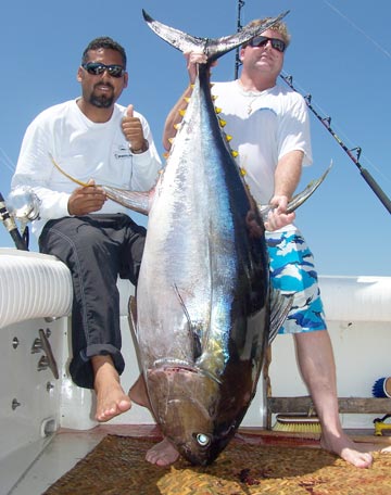 220 pound tuna caught at Puerto Vallarta.