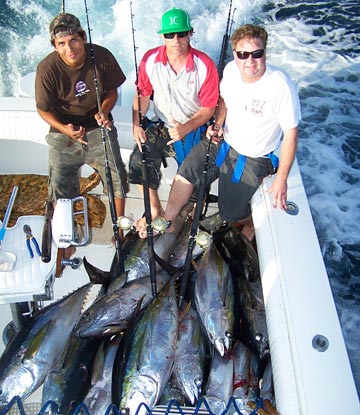 Yellowfin tuna caught at Puerto Vallarta.
