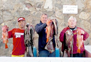 Humboldt squid and bottom fish caught at Ensenada.