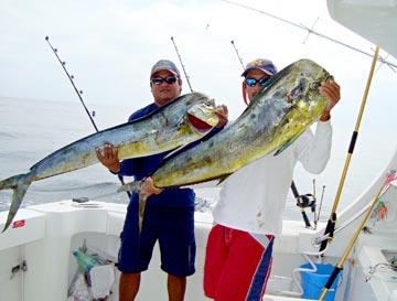 Two large dorado caught at Puerto Vallarta
