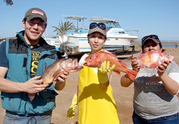 Fish survey crew at San Quintin