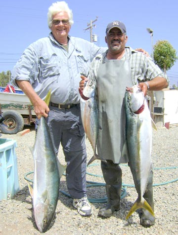 Yellowtail caught at Ensenada