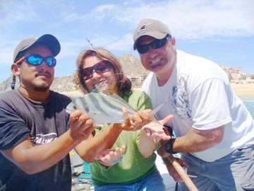 Small roosterfish caught at Cabo San Lucas