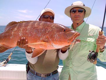 Dog snapper caught at Cabo San Lucas