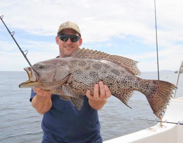 Sawtail grouper caught at Isla Las Animas