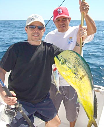 Mahi mahi caught at Cabo San Lucas
