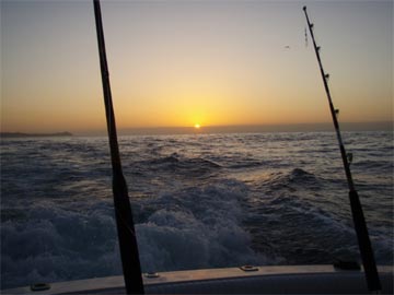 Fishing at Cabo San Lucas 2