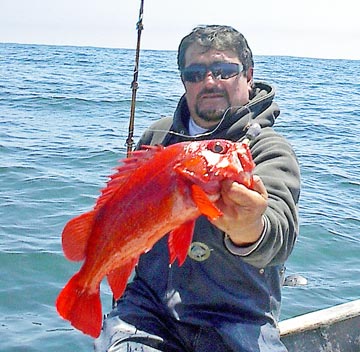 Capt. Lee Moreno with red rockcod caught at Camalu, Baja California, Mexico
