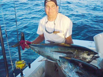Yellowfin tuna caught at San Carlos, Sonora