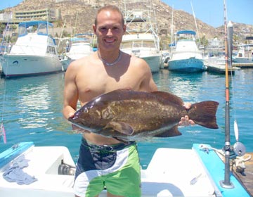 Cabrilla caught at Cabo San Lucas