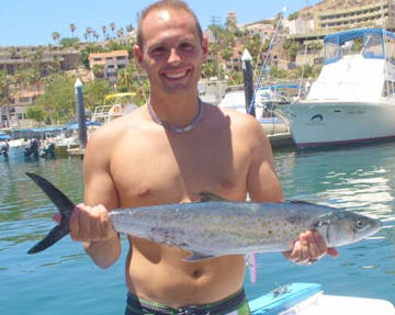 Sierra mackerel caught at Cabo San Lucas