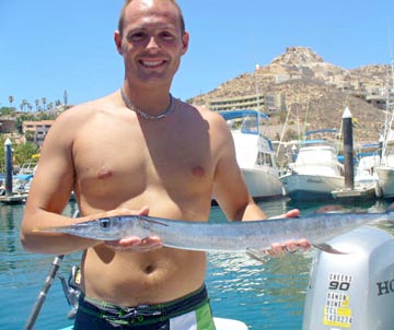 Mexican needlefish caught at Cabo San LucasCabrilla caught at Cabo San Lucas