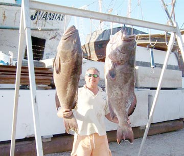 Gulf grouper caught at Rocky Point