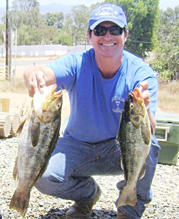 Calico bass caught at Ensenada