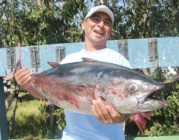 Bluefin tuna caught at San Quintin