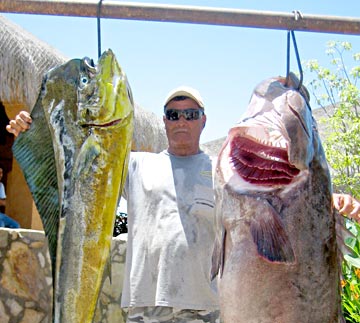 Dorado and grouper caught at San Jose del Cabo