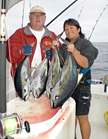 Yellowfin tuna caught at La Paz