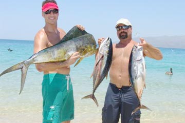 Tuna and dorado caught at La Paz