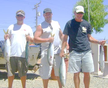 Panga fishing catch at Ensenada