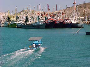 Commercial shrimp boats at Puerto Pe&ntilde;asco, Sonora, Mexico.