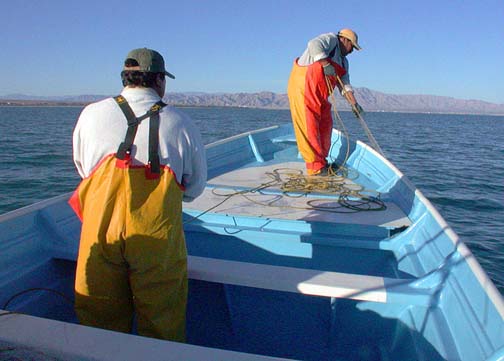 Photo of shrimp fishermen, San Felipe, Mexico.
