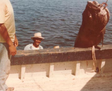 Fish Photo 1