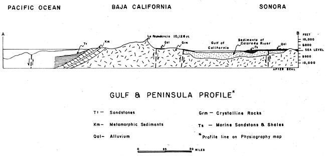 San Felipe graphic 3