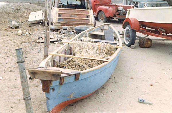 San Felipe graphic 6