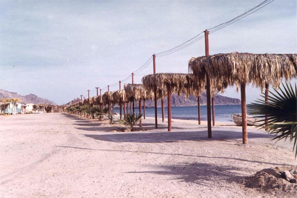 San Felipe graphic 21