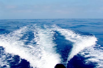 Calm offshore sea conditions at San Quintin, Mexico.