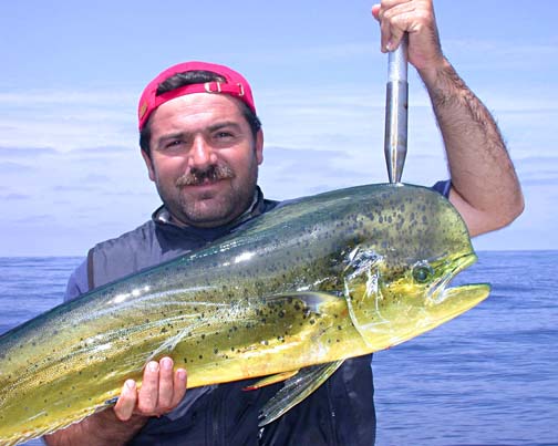 Julio Meza, San Quintin Fishing Photo, Baja California Sur, Mexico.