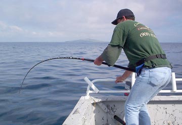 Yellowtail fishing at San Quintin, Mexico