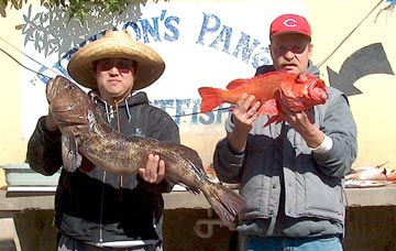 Fish catch at San Quintin, Mexico