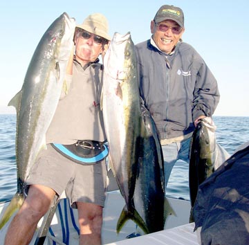 Yellowtail caught with Mike Kanzler of Isla San Marcos, Mexico