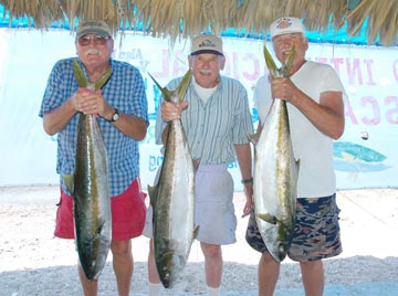 Isla San Marcos Yellowtail ShootOut Fishing Tournament photo 2