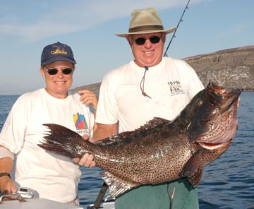 Photo of sawtail grouper caught at Isla Tortuga, Mexico.