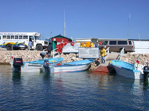 Photo of gray whale boat landing, Scammon's Lagoon, Baja, Mexico.