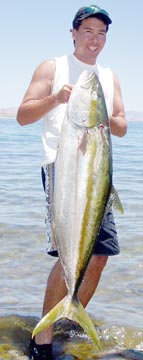 Bahia de los Angeles, Mexico, Fishing Photo 3