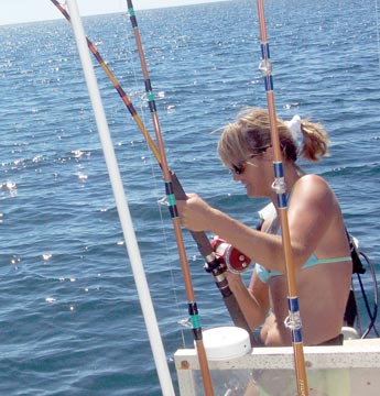 Bahia de los Angeles Mexico Fishing Photo 2