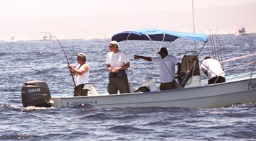 East Cape Mexico marlin pile-up fishing photo 2